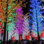 Дерево САКУРА (CBL-N02)  D=2.0m, H=2.4m), 1728 диодов, ЗЕЛЁНЫЙ  NEON-NIGHT